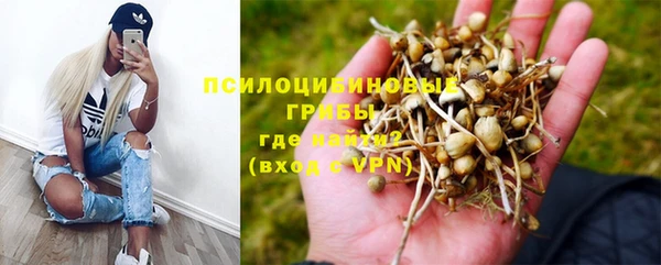 прущая мука Абдулино