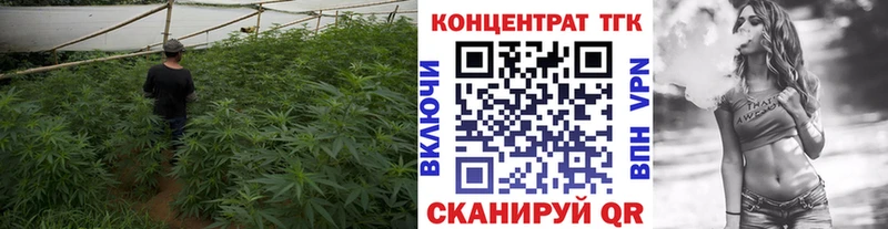ТГК гашишное масло  Шумиха 