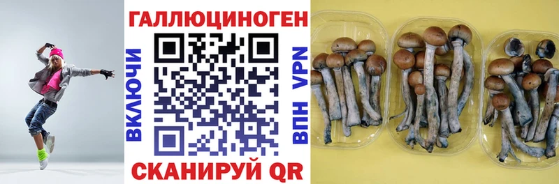 Псилоцибиновые грибы мухоморы  Шумиха 